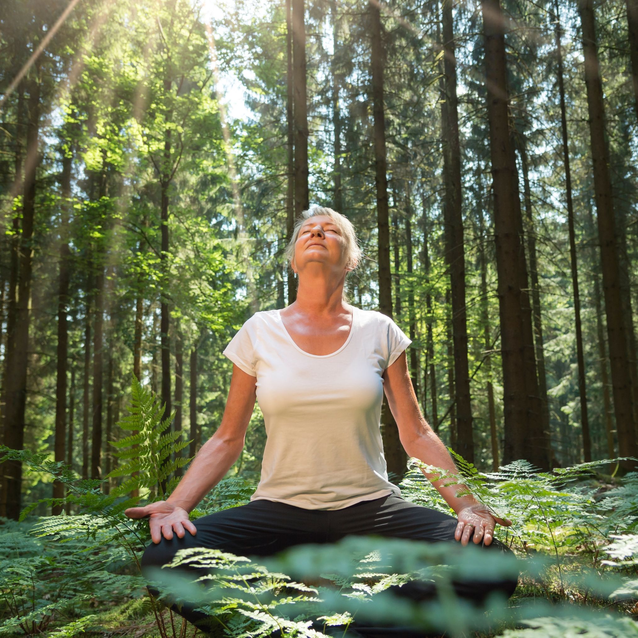 medytacja wyciszająca w lesie